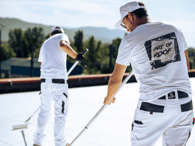 About Leaking Skylight Repair Pros Alamo, NV